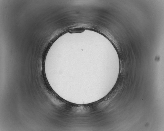 X0000096200253200802151532