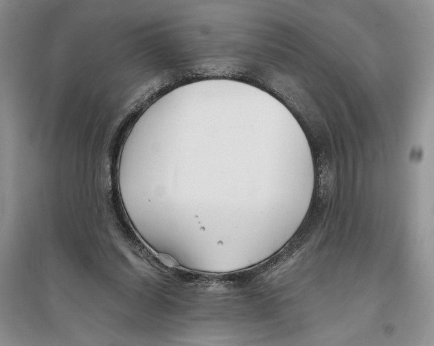 X0000096200254200802151532