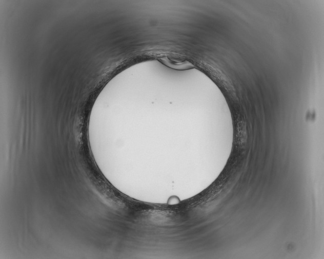 X0000096200255200802151532