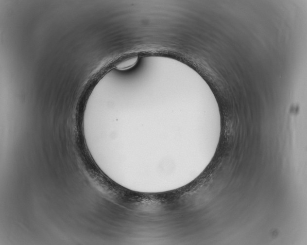 X0000096200256200802151532