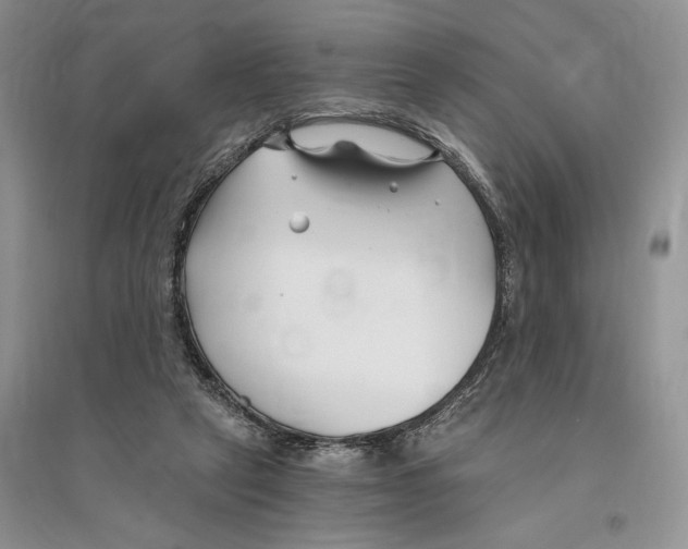 X0000096200257200802151532