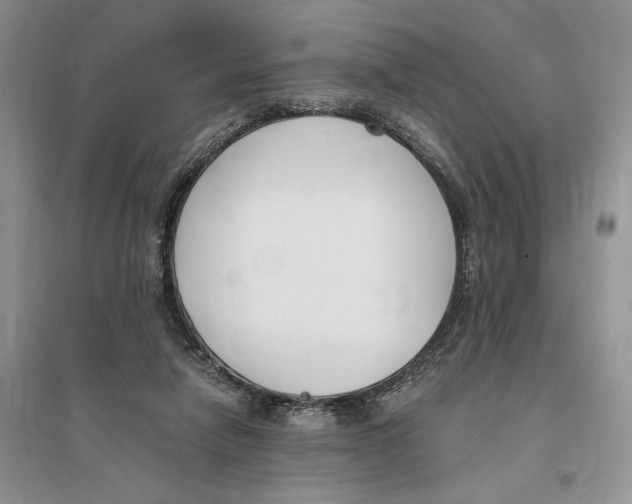 X0000096200258200802151532