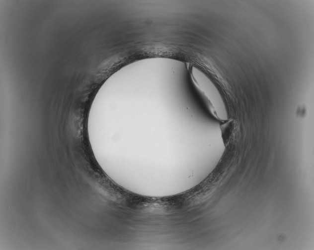 X0000096200259200802151532