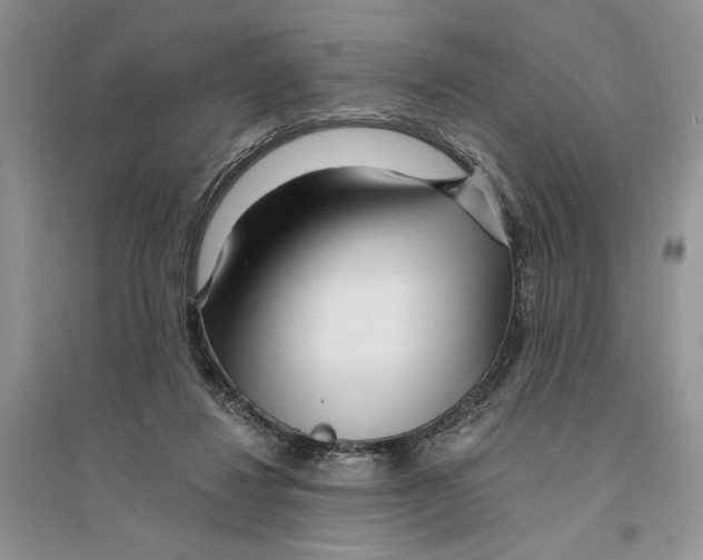 X0000096200260200802151532