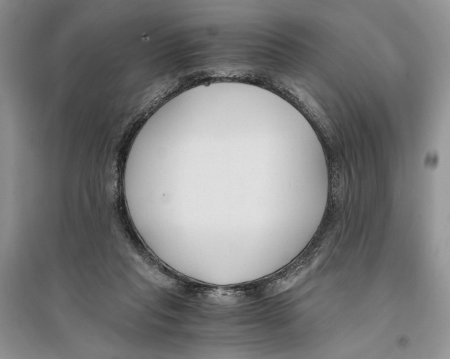 X0000096200261200802151532