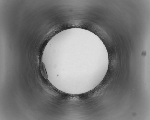 X0000096200262200802151532