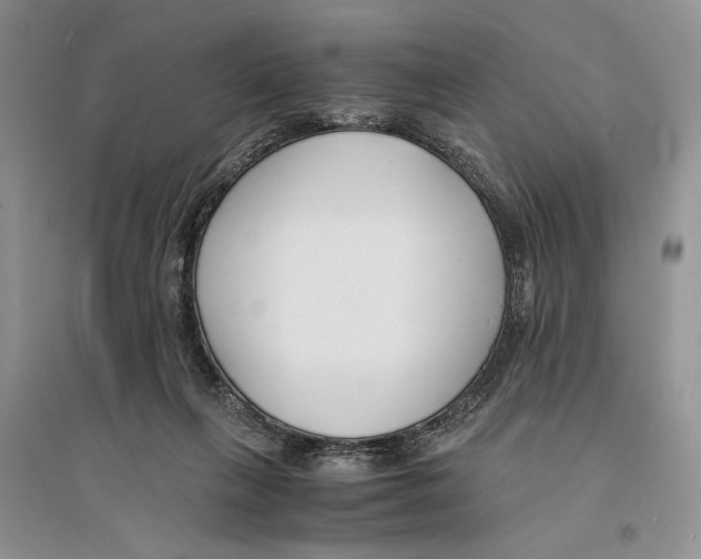 X0000096200263200802151532