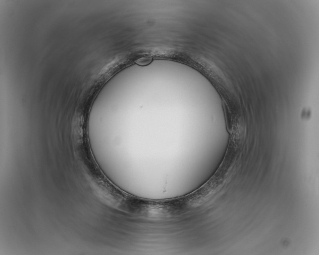 X0000096200264200802151532