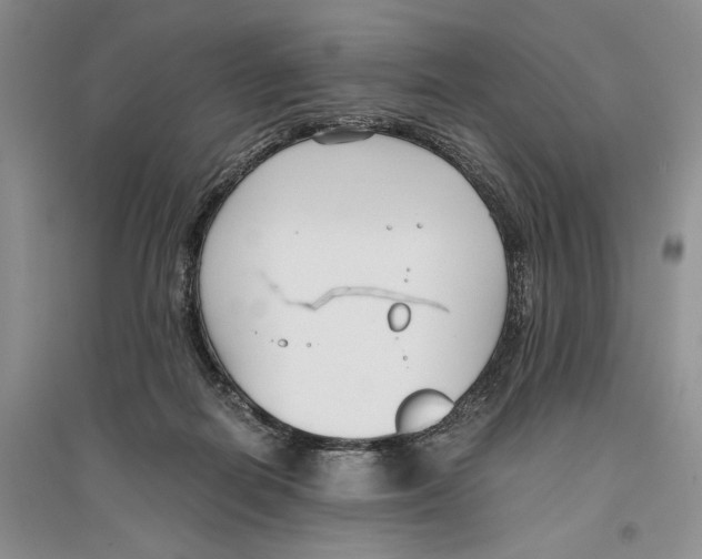 X0000096200266200802151532