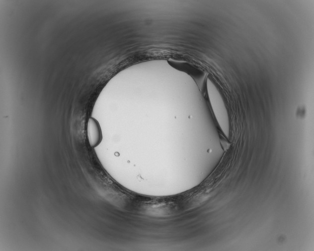 X0000096200267200802151532