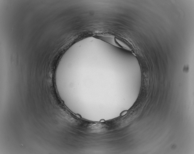 X0000096200269200802151532