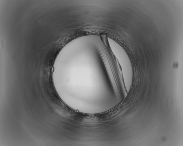 X0000096200271200802151532