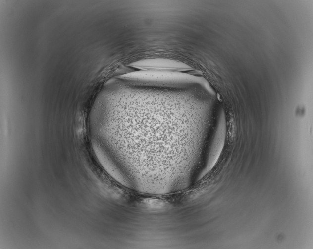 X0000096200272200802151532