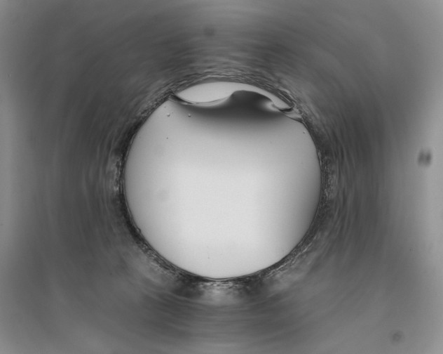 X0000096200273200802151532