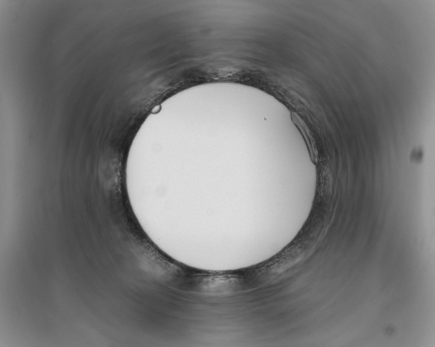 X0000096200274200802151532