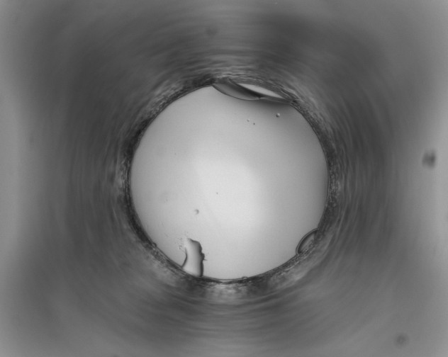 X0000096200277200802151532