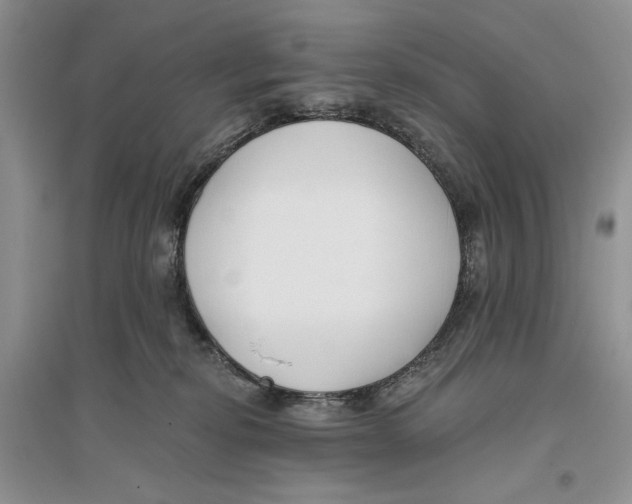 X0000096200278200802151532