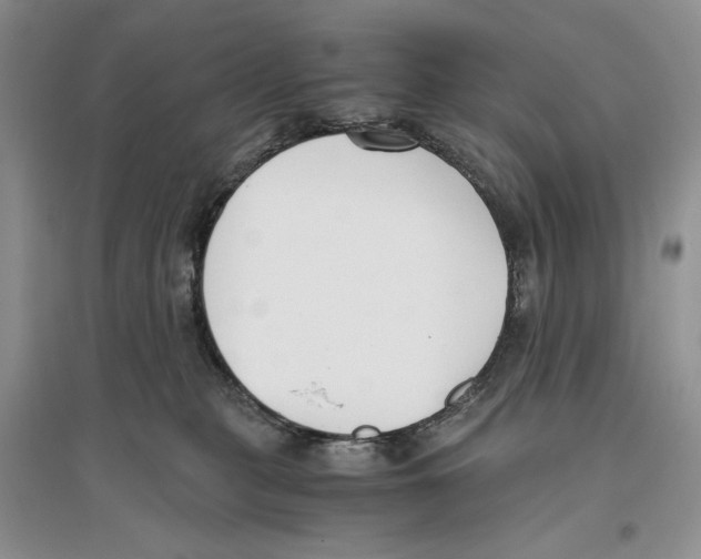 X0000096200279200802151532