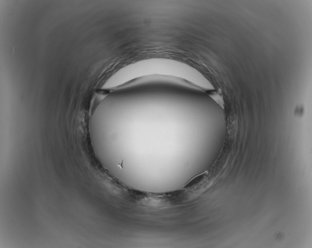 X0000096200280200802151532