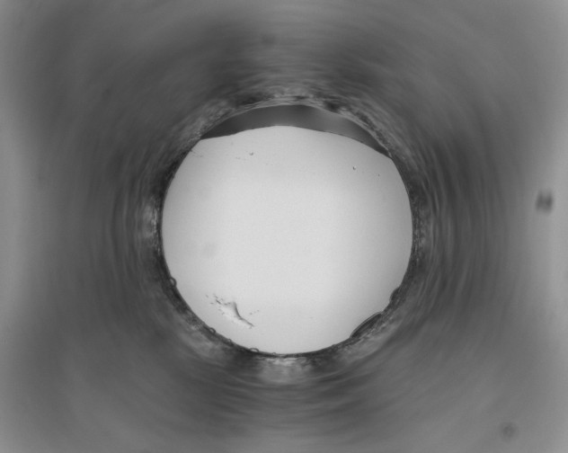 X0000096200281200802151532