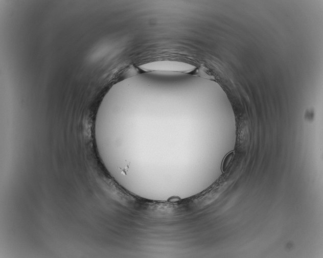 X0000096200282200802151532