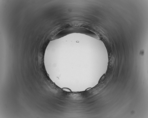 X0000096200283200802151532