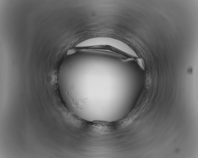 X0000096200284200802151532