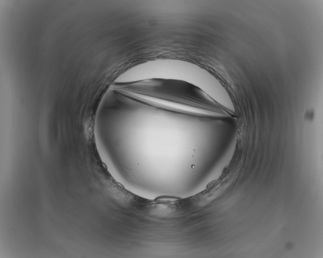 X0000096200285200802151532