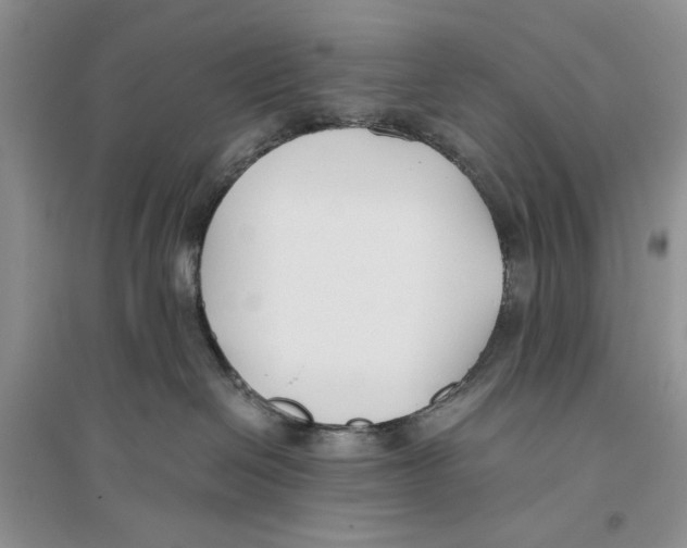 X0000096200286200802151532