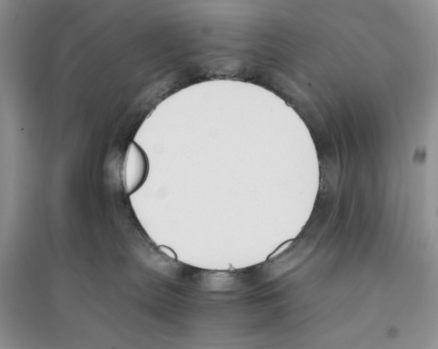 X0000096200287200802151532