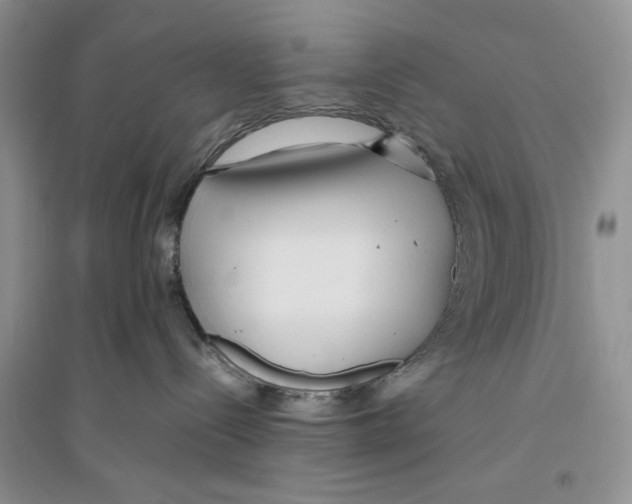 X0000096200288200802151532