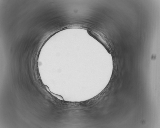 X0000096200289200802151532