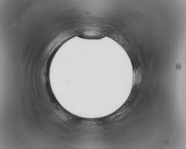 X0000096200291200802151532