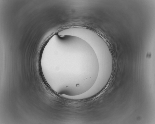 X0000096200293200802151532