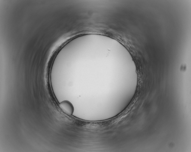 X0000096200294200802151532