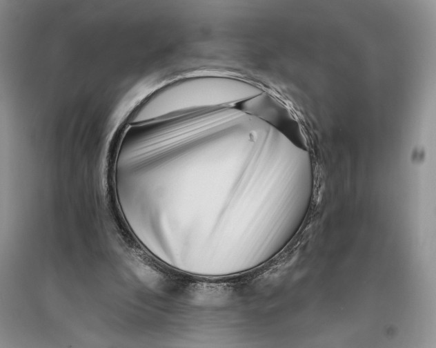 X0000096200296200802151532