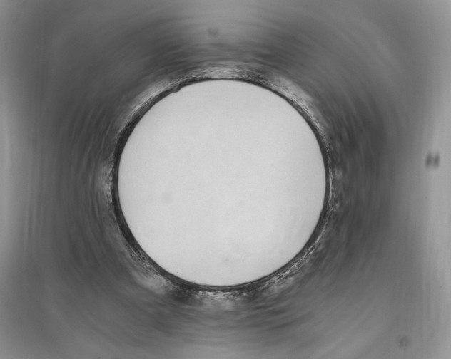 X0000096200297200802151532