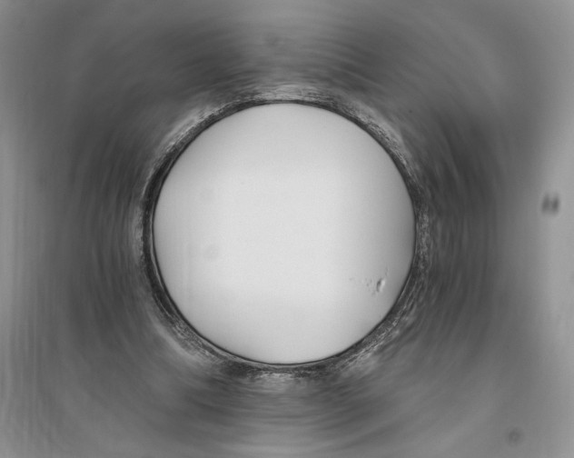 X0000096200298200802151532