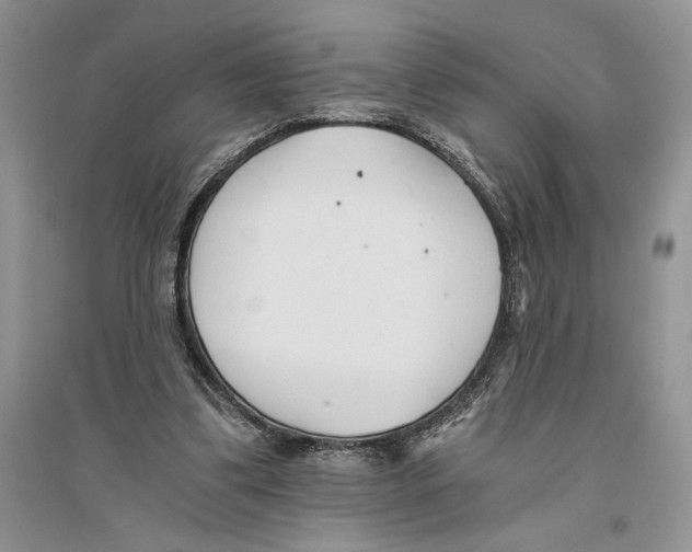 X0000096200299200802151532