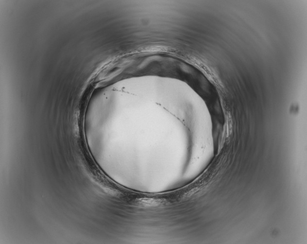 X0000096200300200802151532