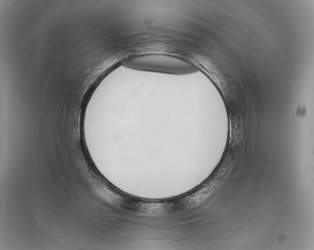 X0000096200301200802151531