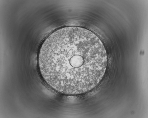 X0000096200302200802151531