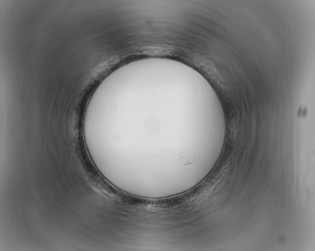 X0000096200303200802151531