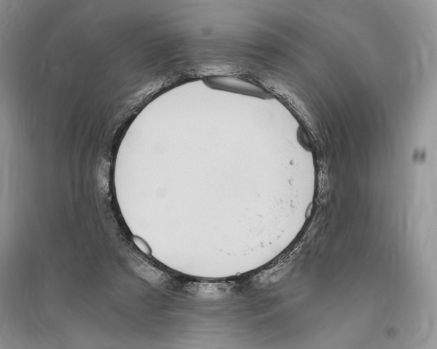 X0000096200305200802151531