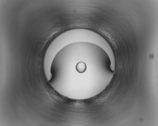 X0000096200308200802151531