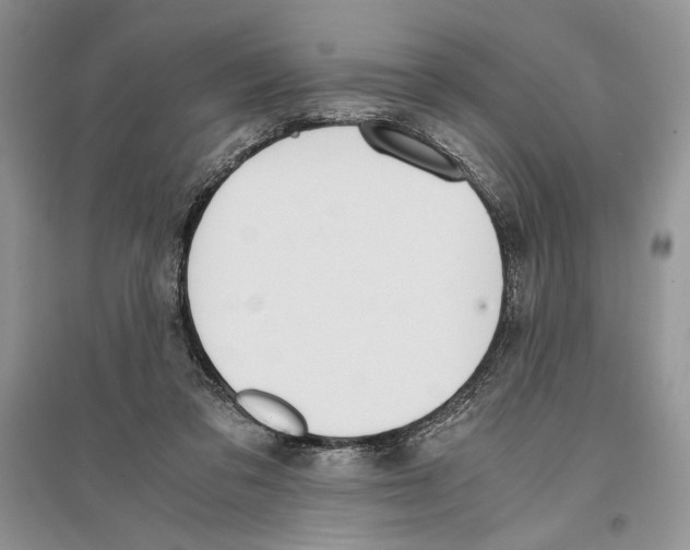 X0000096200309200802151531