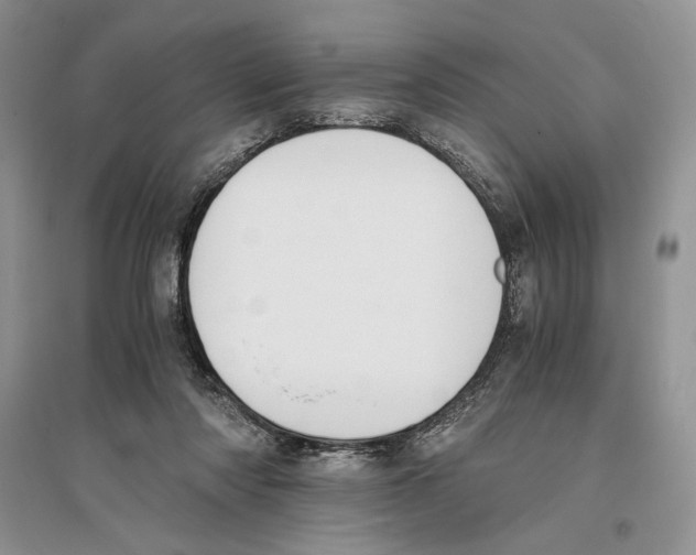 X0000096200310200802151531