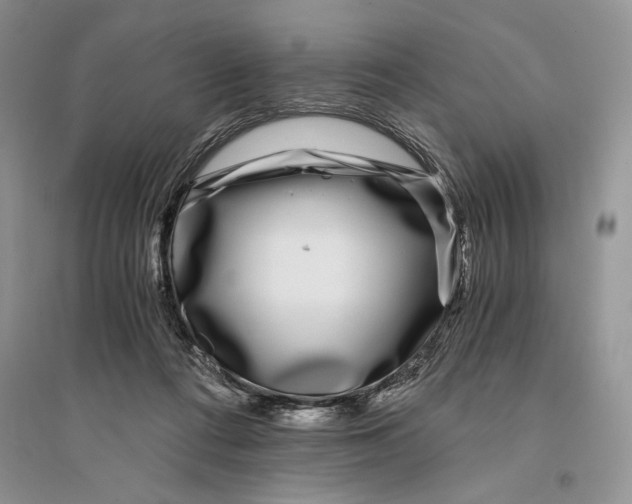 X0000096200312200802151531