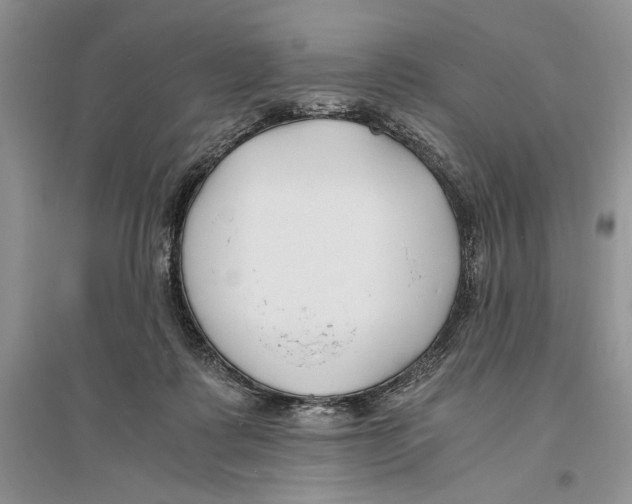 X0000096200315200802151531