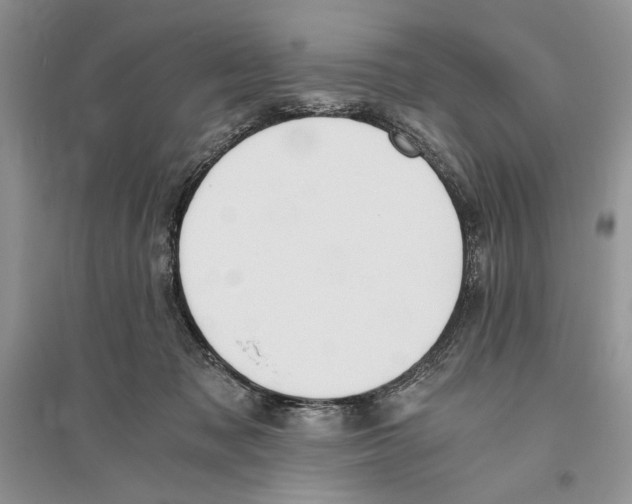 X0000096200317200802151531